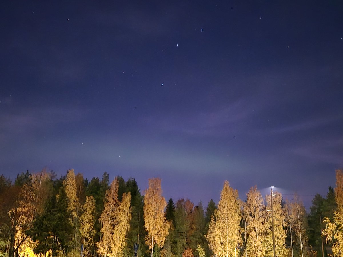 DutchTheWolf 🇳🇱🌻 tweet media