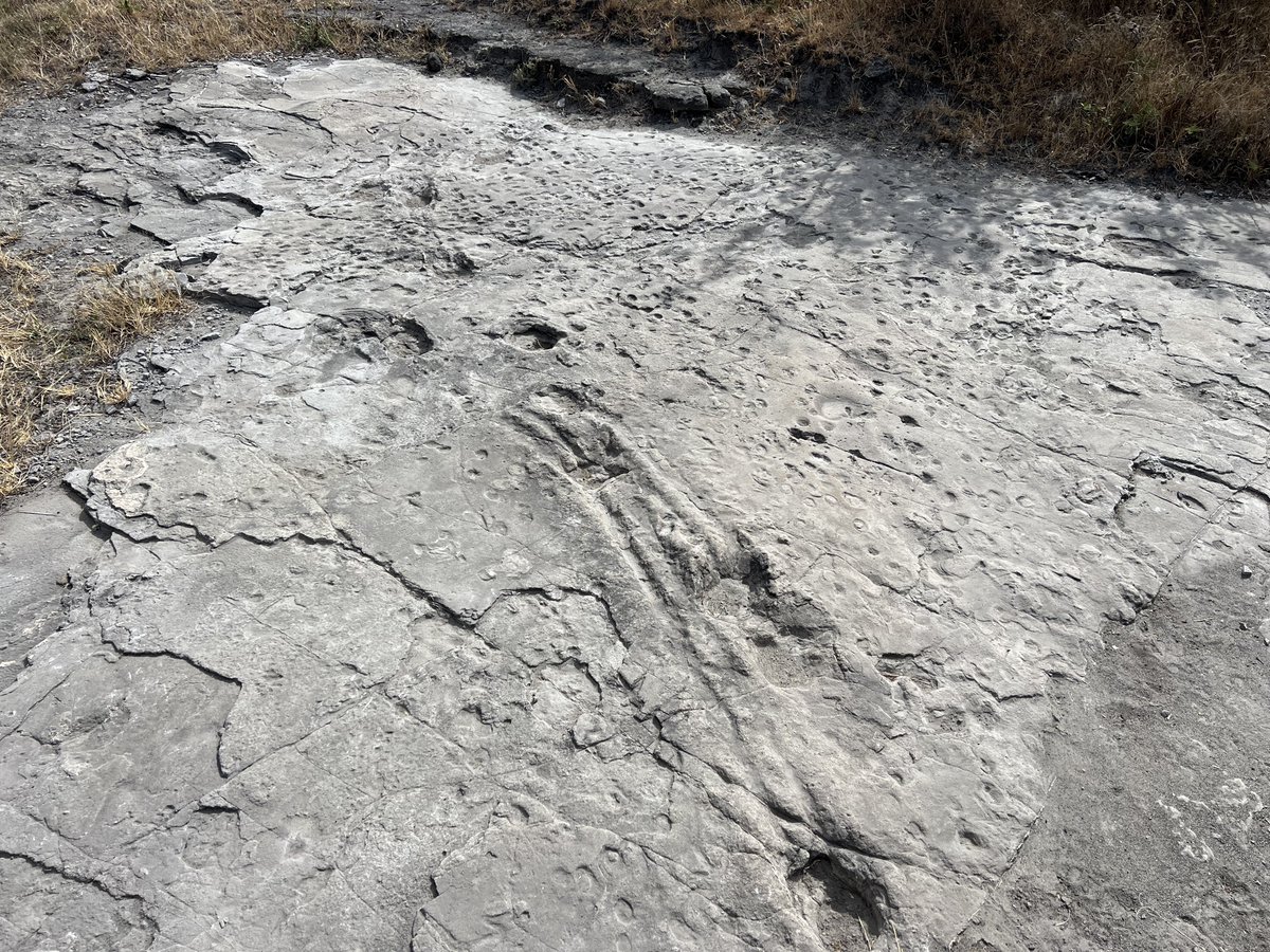 Listen to <a href="/dickybates2/">Richard Bates</a> narrating about our work at #Laetoli funded by <a href="/BritishArts/">British Council Arts</a> <a href="/DCMS/">Department for Culture, Media and Sport</a> <a href="/UdsmOfficial/">University of Dar es Salaam</a> @univofstandrew

youtu.be/thg1_vyHAn4?si…

<a href="/urithiwetutz/">Urithi Wetu</a> <a href="/EJDPollard/">Edward Pollard</a> @DonaldHerd3 <a href="/tzBritish/">British Council Tanzania</a> <a href="/chemical_tz/">chemical_tz</a> <a href="/MNRT_Tanzania/">Wizara ya Maliasili na Utalii</a>