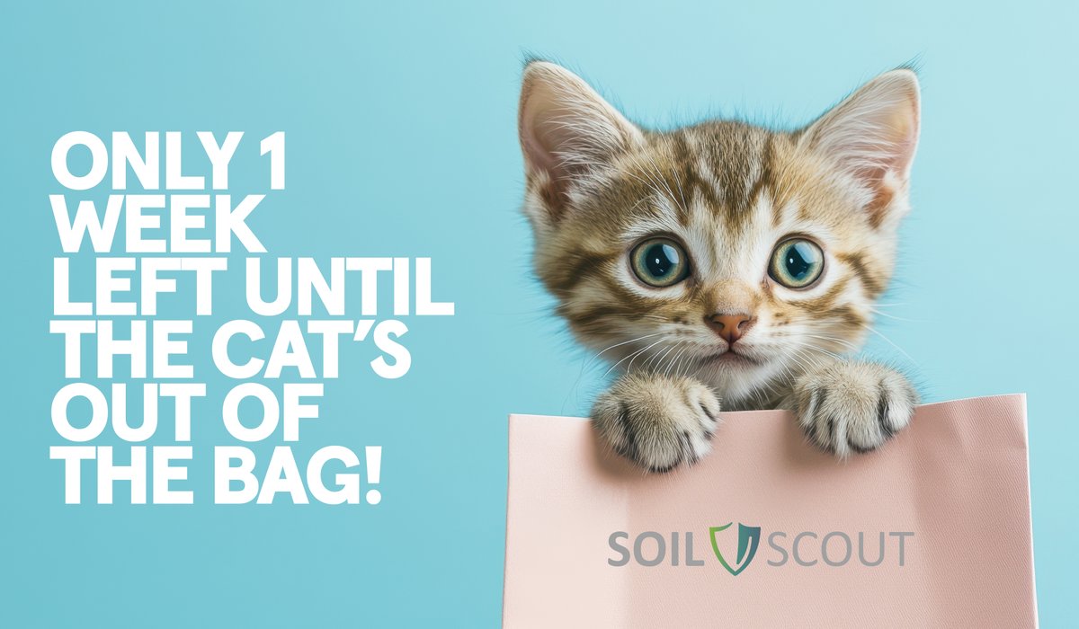 🚨 Only 1 week left until the cat’s out of the bag…  have you signed up yet? Get ready to learn about the game-changing innovation that will let you see your soil in a new light.

🌍 Reserve your spot today: app.livestorm.co/soil-scout/soi… 

#SoilHealth #Webinar #NewProductLaunch