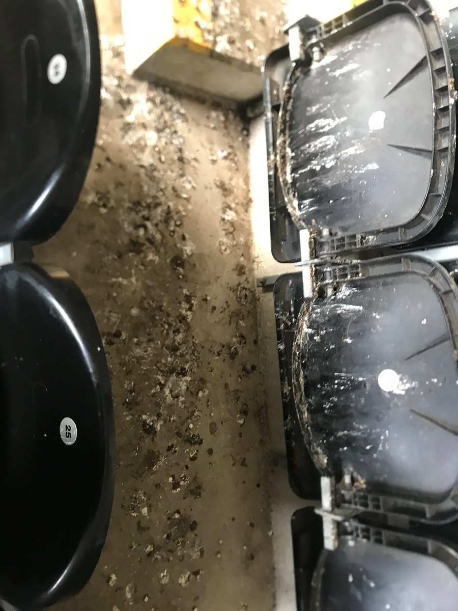 Good luck to the <a href="/BurnleyOfficial/">Burnley FC</a> fans who get RowBB seats 24 and 25 <a href="/HullCity/">Hull City</a> tonight. This is how they looked AFTER they cleaned them for <a href="/SunderlandAFC/">Sunderland AFC</a> on Sunday