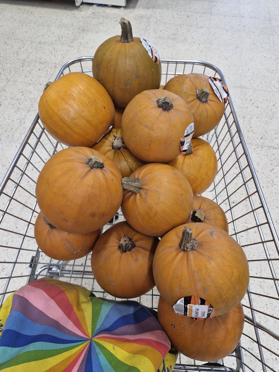 Buying 15 pumpkins for carving activity tomorrow <a href="/AlbrightCentre/">Albright Education Centre</a> but customers and staff conversing with me thinking I have 15 children of my own!!!! 🤣