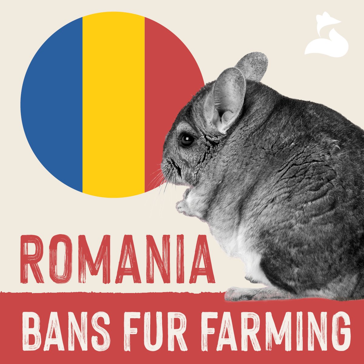 👏🇷🇴 HUGE news!  The Romanian Parliament has voted to ban #furfarming! 

Romania is now the 16th Member State to ban this cruel practice! 

 <a href="/EU_Commission/">European Commission</a>, the message could not be clearer: it is time for a #FurFreeEurope.