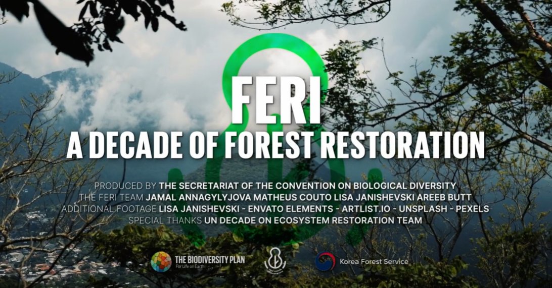 GPFLR (@gpflrtweets) on Twitter photo 👉 Follow the session that marks the 10th anniversary of The Forest Ecosystem Restoration Initiative (FERI) today at #COP16. Join <a href="/UNBiodiversity/">UN Biodiversity</a> and celebrate its accomplishments.
📅 23 OCT 2024
🕜 13:20
📍 GRULAC Plaza One - Blue Zone
🔗 Livestream link: wk5s-tba2-g1qy 👉 Follow the session that marks the 10th anniversary of The Forest Ecosystem Restoration Initiative (FERI) today at #COP16. Join <a href="/UNBiodiversity/">UN Biodiversity</a> and celebrate its accomplishments.
📅 23 OCT 2024
🕜 13:20
📍 GRULAC Plaza One - Blue Zone
🔗 Livestream link: wk5s-tba2-g1qy