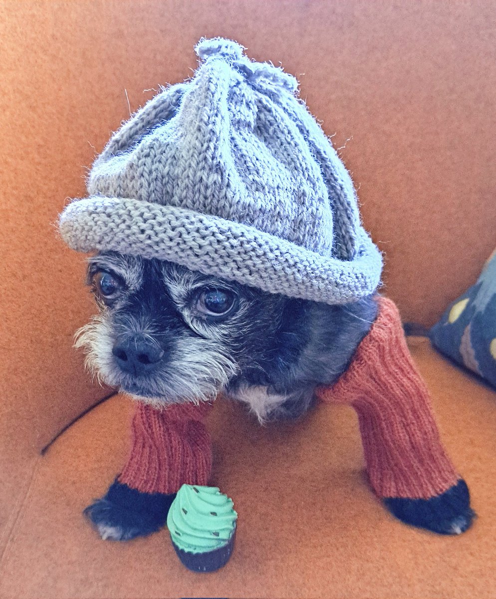 SUOMALAISEN KÄSITYÖN PÄIVÄÄ kamut❣️😬
Tässä sitä nyt esitellään. Just kudottu pipa.  Mun säärystimet on oikeesti ranteenlämmittäjät.
Arvi tai Ilona ja Doris osais esitellä nää paremmin, mutta mulla on lyttyynlyöty fiilis.😑