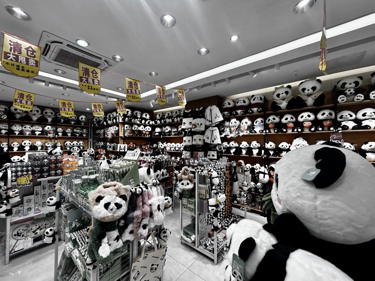 BenWarrenSCCC's tweet photo. And few 📸📸📸 from Chengdu, China. The city of the giant panda, where everything you see has a panda on it! 🐼🐼🐼
#chengdu #chengducity #China #ChinaTravel https://t.co/4hJWHqp6Us