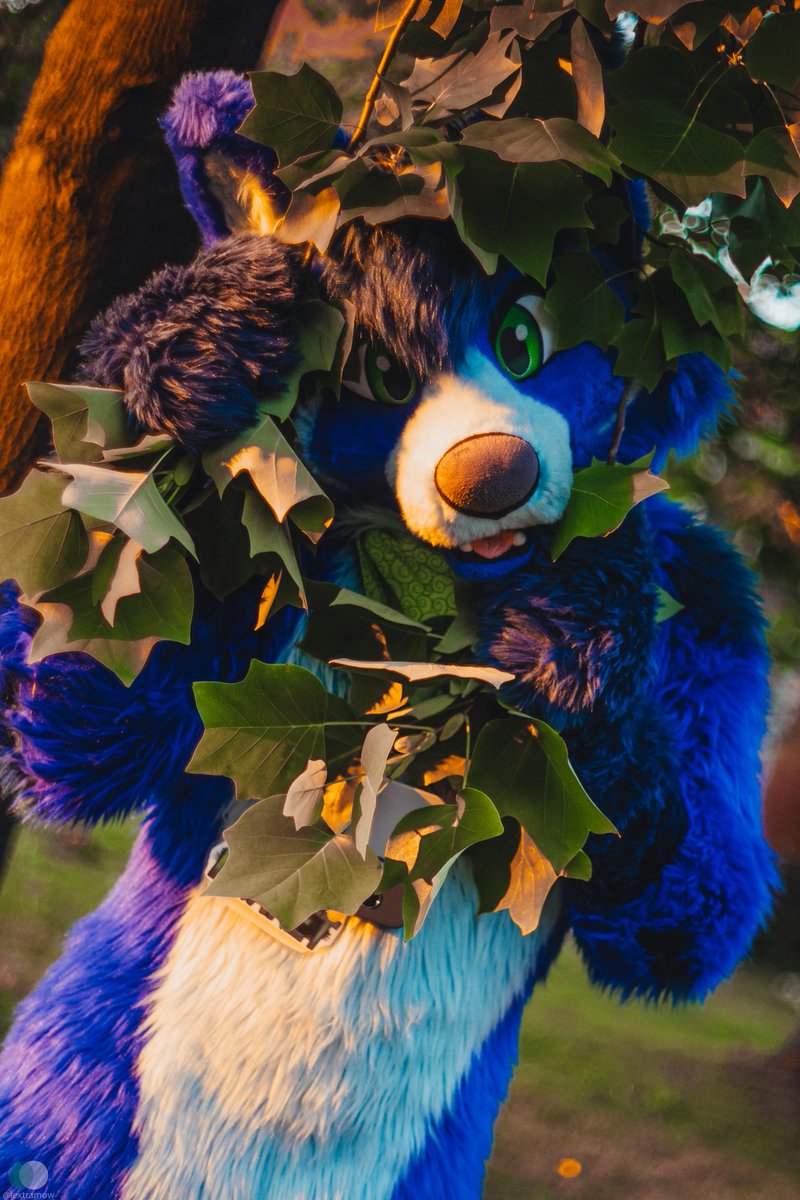 Summer is ending and it's time for the colors of fall. So I want to have one last picture of green leaves.

📷  <a href="/lextramow/">Lexi McSwirl</a>