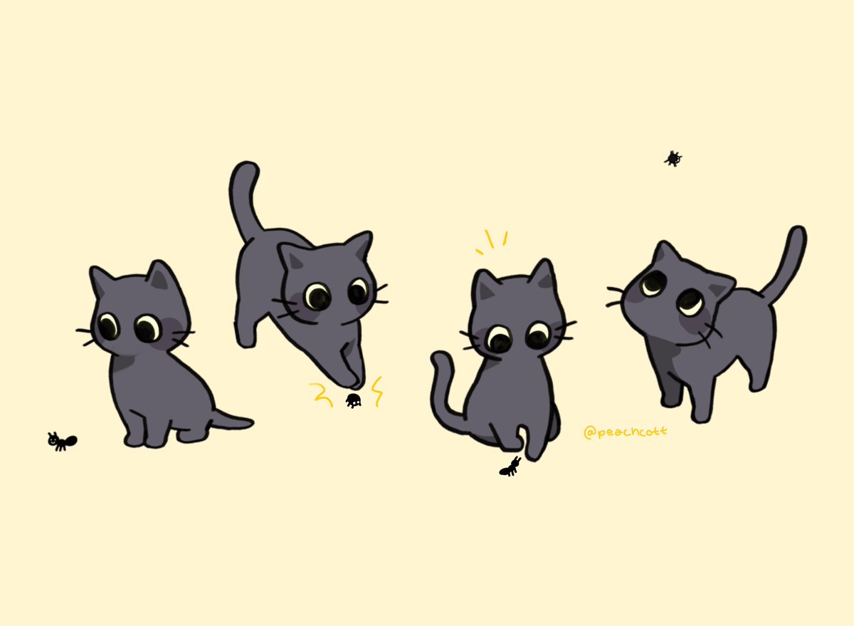 find someone who looks at u the way my new cat looks at bugs !