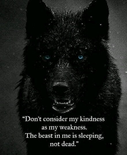 @fidelity tweet media