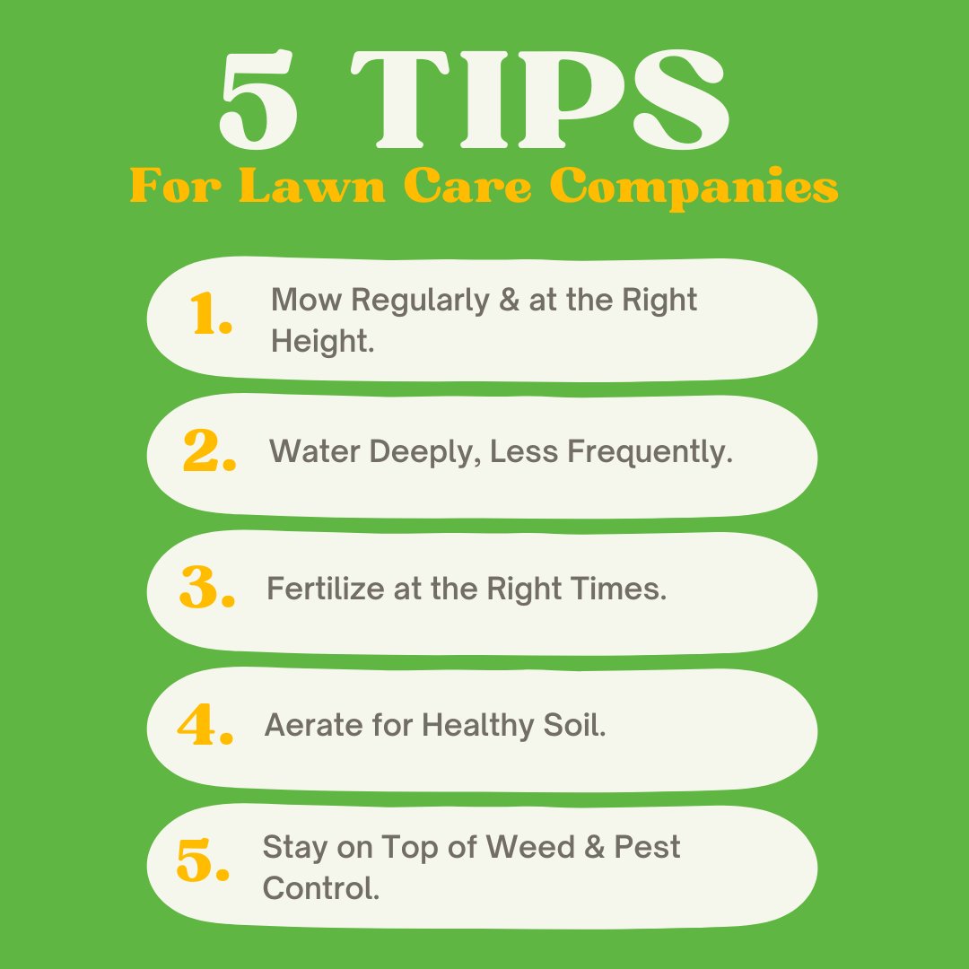 scapersoft's tweet image. Improve your lawn care game with these essential tips! 🌿✨

At @scapersoftdotcom, we’re here to help you deliver top-notch services to your clients.

Let’s make lawn care easier and more efficient together! 💼

#LawnCare #ScaperSoft #LandscapingSuccess