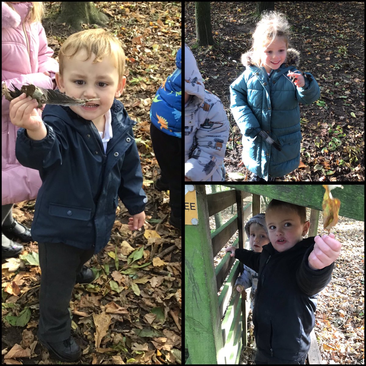 MissHiorns tweet media