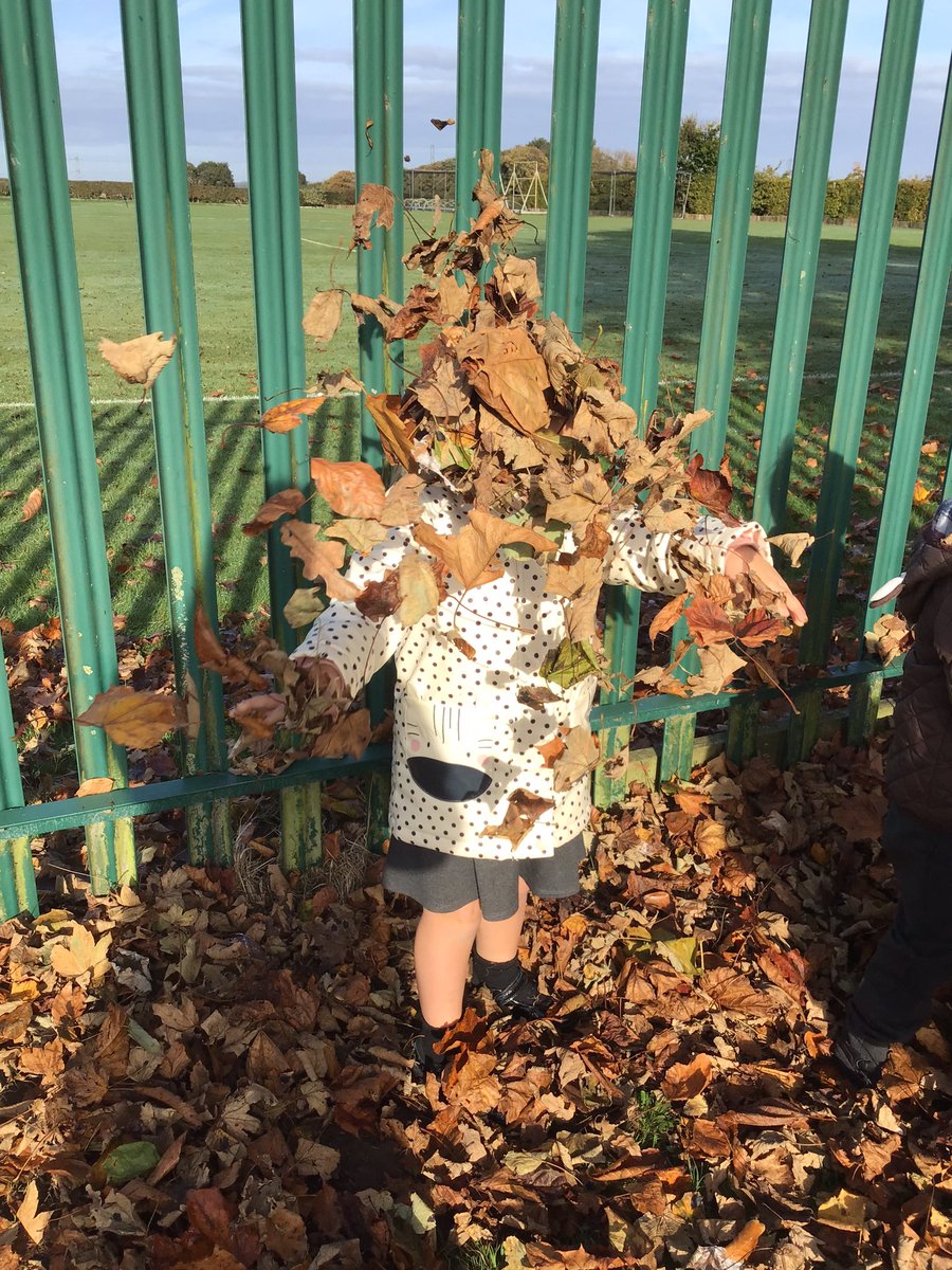 MissHiorns tweet media