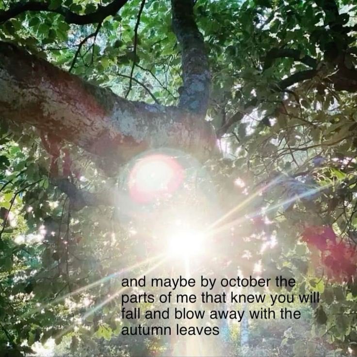 kent (@skenttan) on Twitter photo 