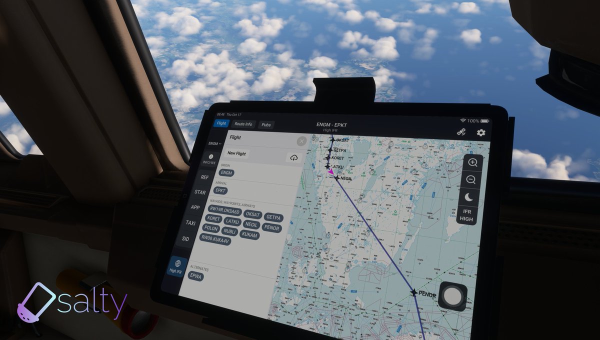 Salty Simulations tweet media