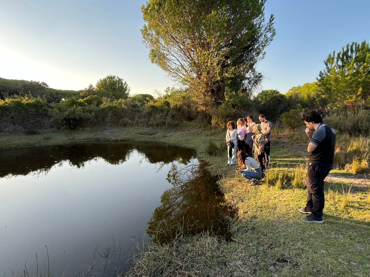 ebdonana's tweet photo. This week we host international students from the "Principles of Evolution Course" at the Doñana Biological Reserve.

This intensive course cover broad aspects of the evolutionary process, across multiple timescales, organizational levels, and phylogenetic breadth.

#POECourse https://t.co/9ZGMH0aQam