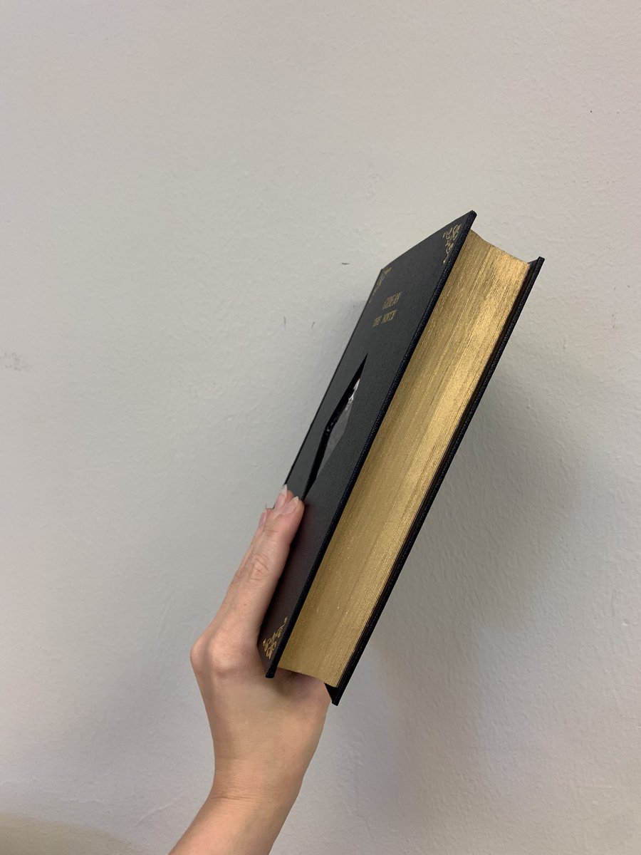 Nate 🐀🫀🗡 @ working comms tweet media