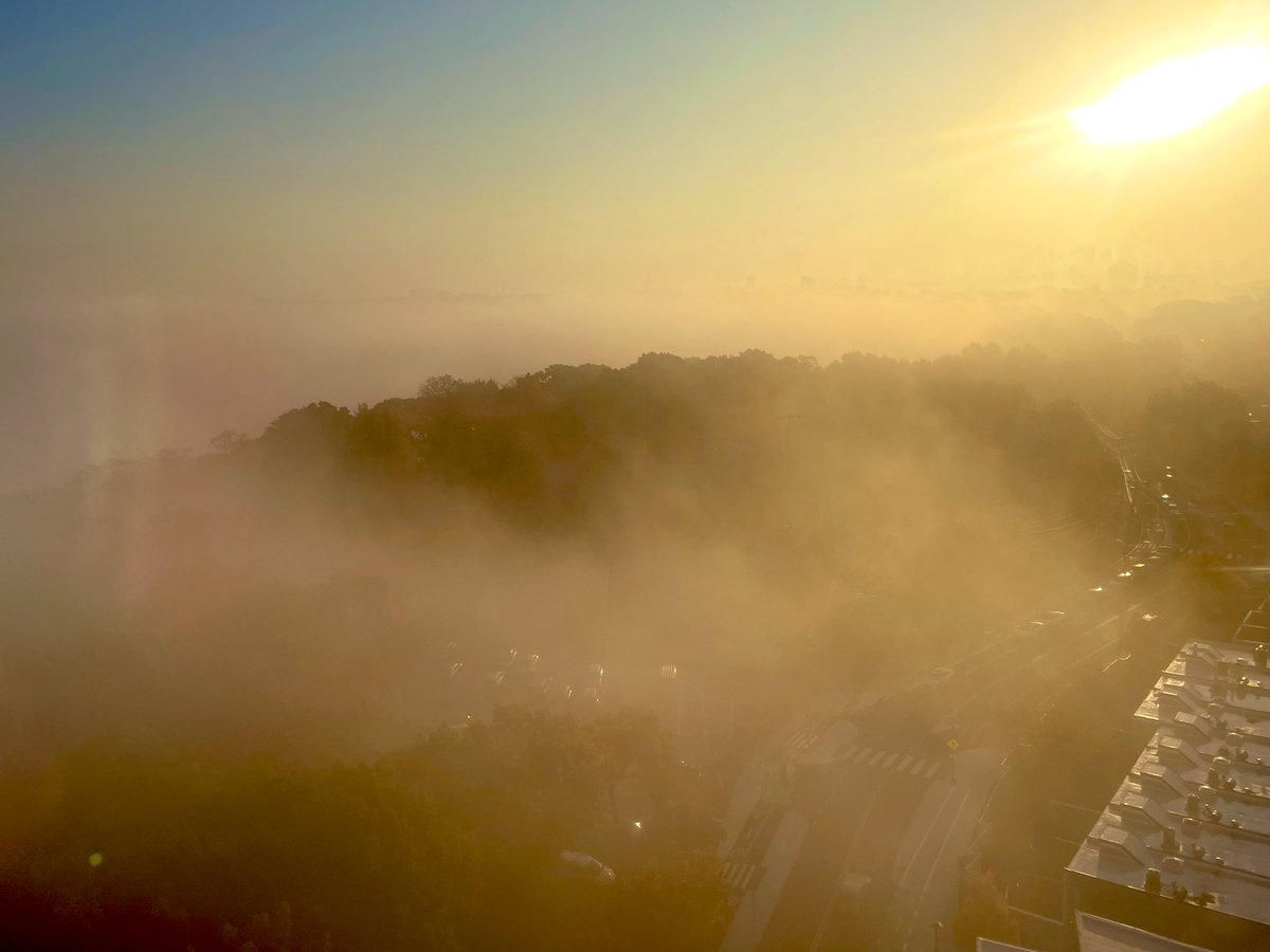 peterpayackpoet's tweet image. #foggy #sunrise
#multicolored #Newengland #Boston #skyline #reflections
#Cambridge #Freshpond #fallfoliage @ericfisher @Pamelanbcboston
@ShiriSpear
@Met_CindyFitz @laabs
@weatherchannel @PeteNBCBoston
@NewEnglandInfo @sarahwroblewski
#followingnecn @antoinetteA
@Pamelanbcboston