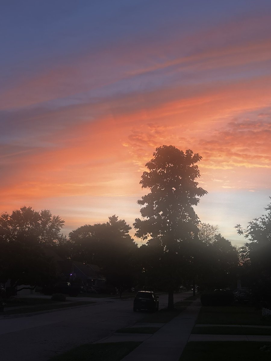 Steve Cook tweet media