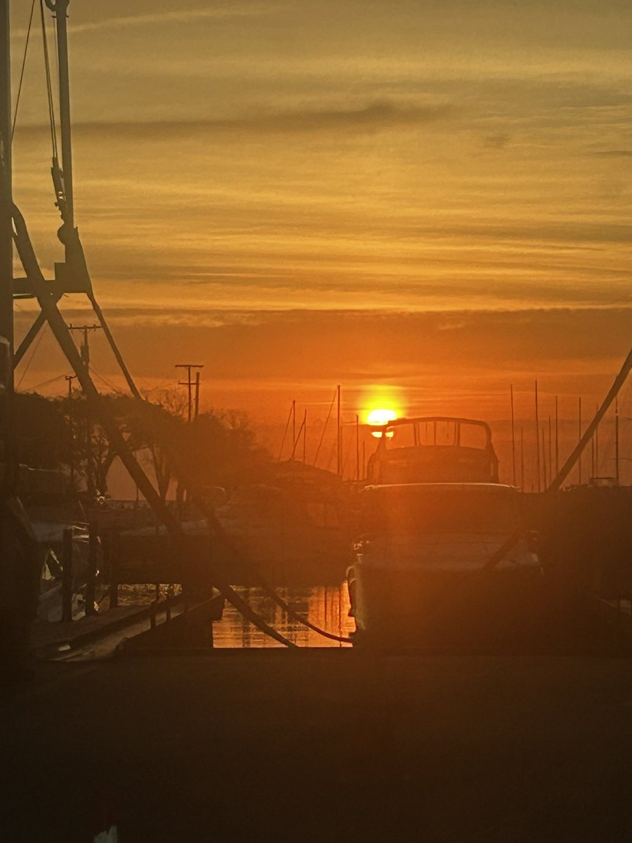 Steve Cook tweet media