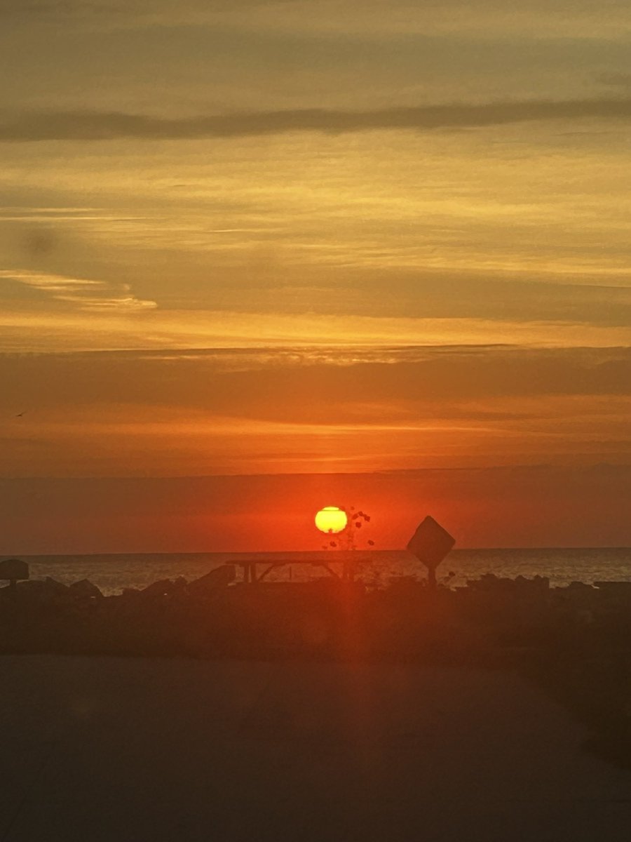 Steve Cook tweet media