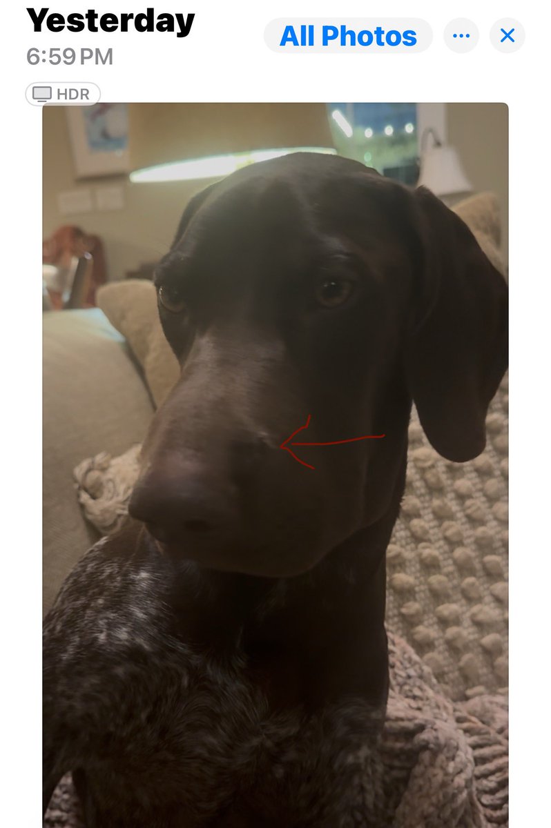 Beth Moore tweet media