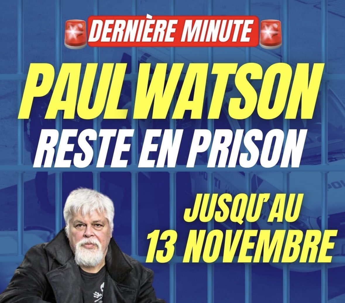 hugoclement's tweet photo. 🚨 DERNIÈRE MINUTE 🚨
Paul Watson reste en prison. 
Le tribunal du Groenland a décidé ce mercredi de prolonger sa détention au moins jusqu’au 13 novembre. 
Cela fait déjà 95 jours que Paul est emprisonné pour avoir protégé les baleines. 

Une nouvelle fois, le juge a refusé d’examiner les vidéos qui disculpent Paul des accusations farfelues des chasseurs japonais. 

@vakitamedia est sur place, on vous donne plus d’infos très vite. 

Cette situation est une injustice insupportable. Continuons à nous mobiliser pour demander au Danemark de libérer le capitaine ! ✊🏴‍☠️