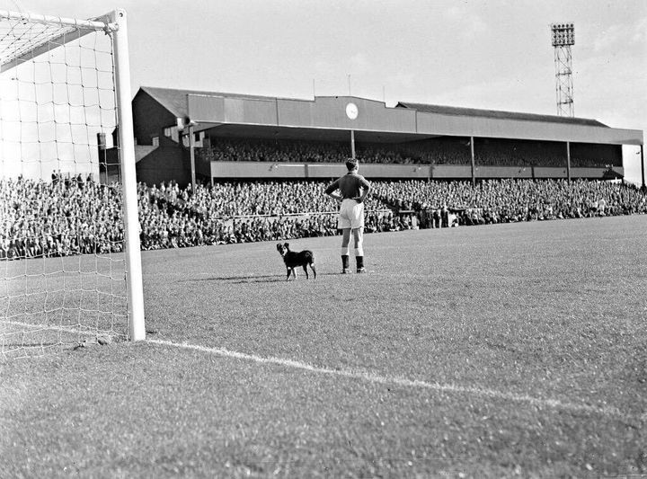 Dog on the Pitch!
Deepdale, Preston.
PNE v Spurs 14th September 1957.
