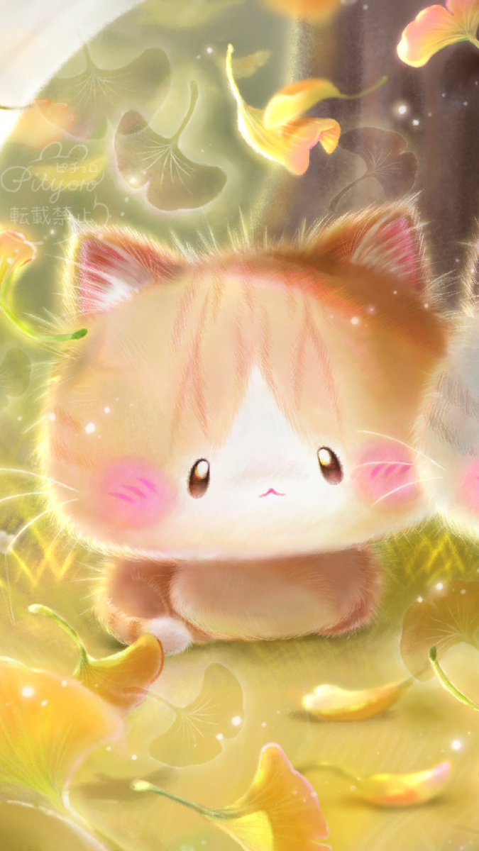 Pityoro_Chima's tweet image. 