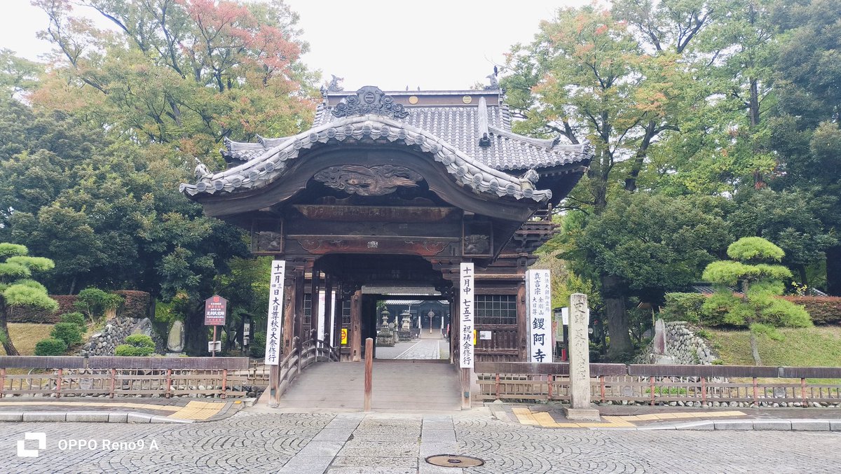 jcn6tt5's tweet photo. 🏯足利氏館
〔栃木県足利市〕
鑁阿寺（ばんなじ)になっている。とても風格のあるお寺でした。

本堂 ·水堀·タ宝塔などを
見てきました！

#100名城
#新田金山城
#足利市 https://t.co/xf60BhMTAv