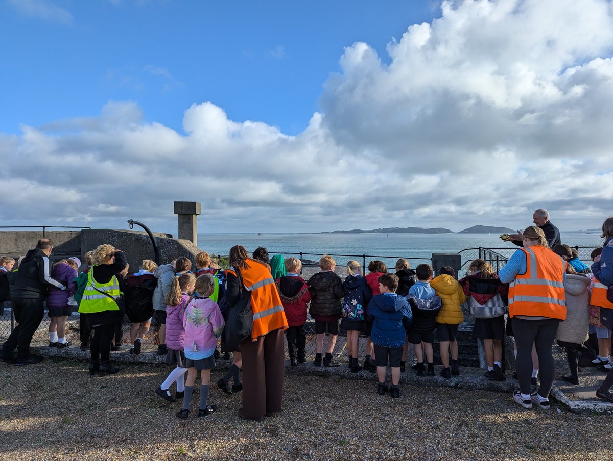 La Mare Primary tweet media