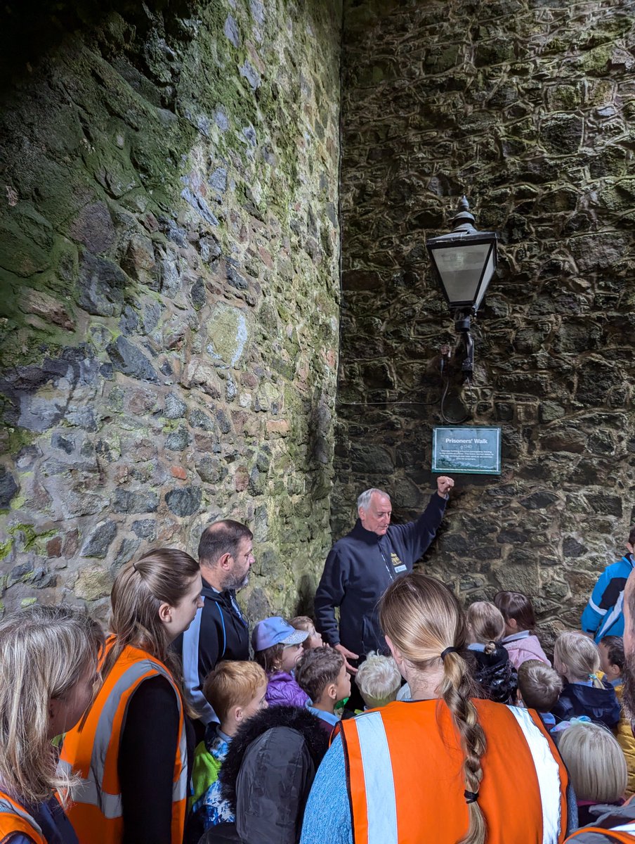 La Mare Primary tweet media