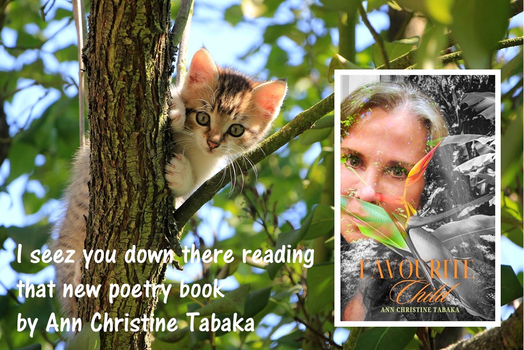 Ann Christine Tabaka (poet) tweet media