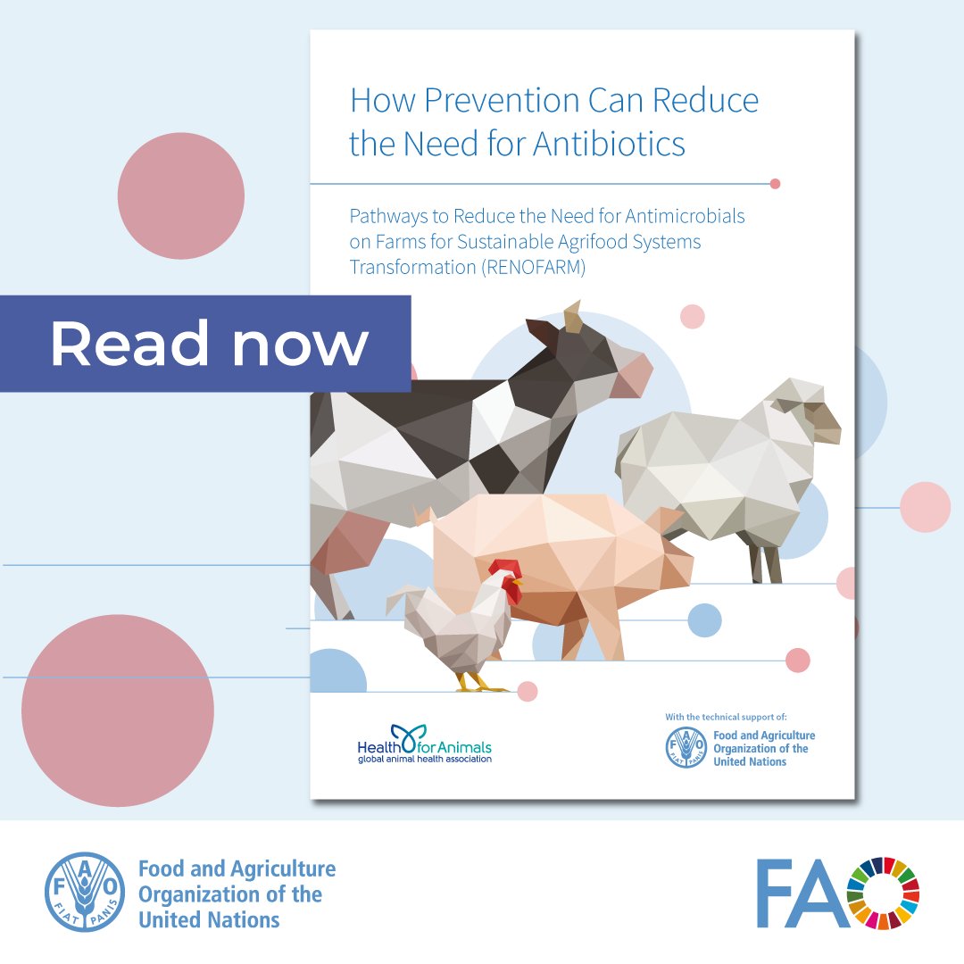 🐖Digital innovations like sound monitoring systems in swine production are helping farmers prevent disease and reduce antibiotic use.

Explore these and other tech advancements to tackle #AMR➡️bit.ly/409UAIy

#AntimicrobialResistance