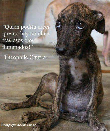 #YoMeRebelo23O #YoMeRebelo24O