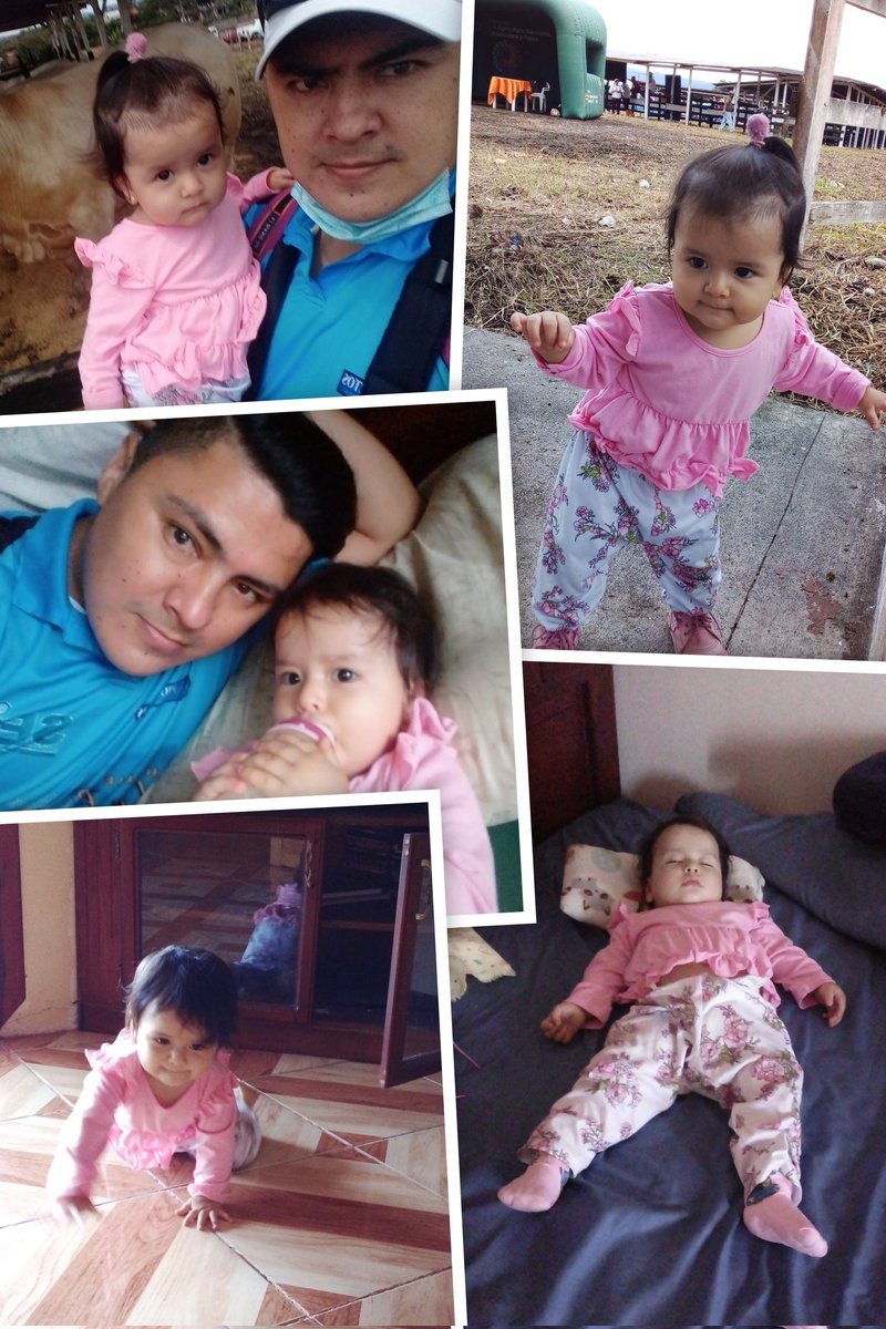 CARLOS ALVARADO (@alvaradocozar) on Twitter photo 