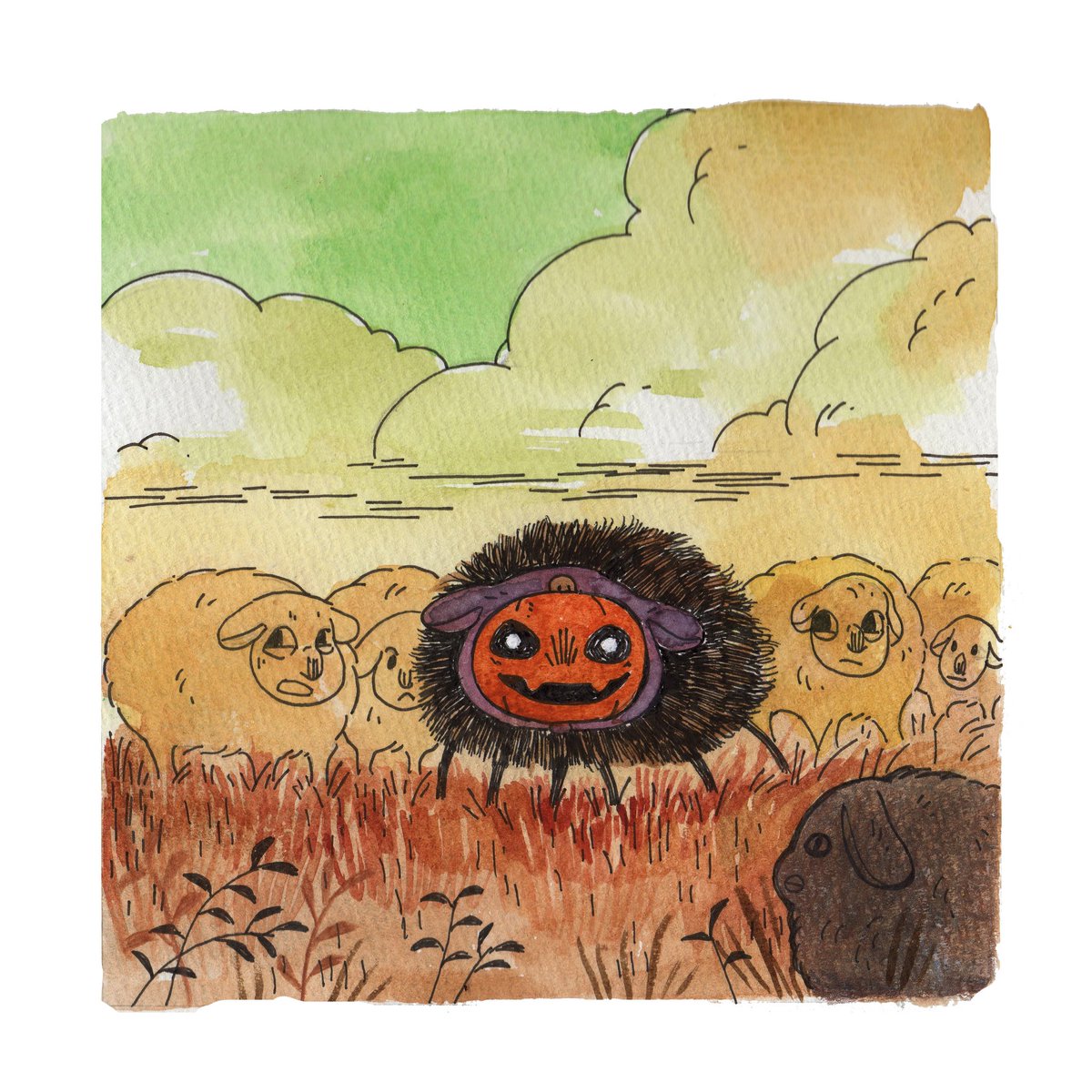 Not like the others.