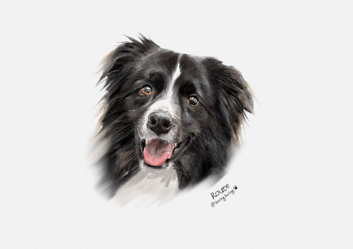 샴미 (@shammmi_) on Twitter photo 