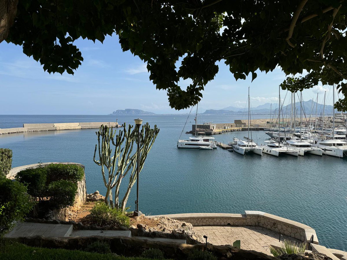 Dmitry Sitkovetsky tweet media