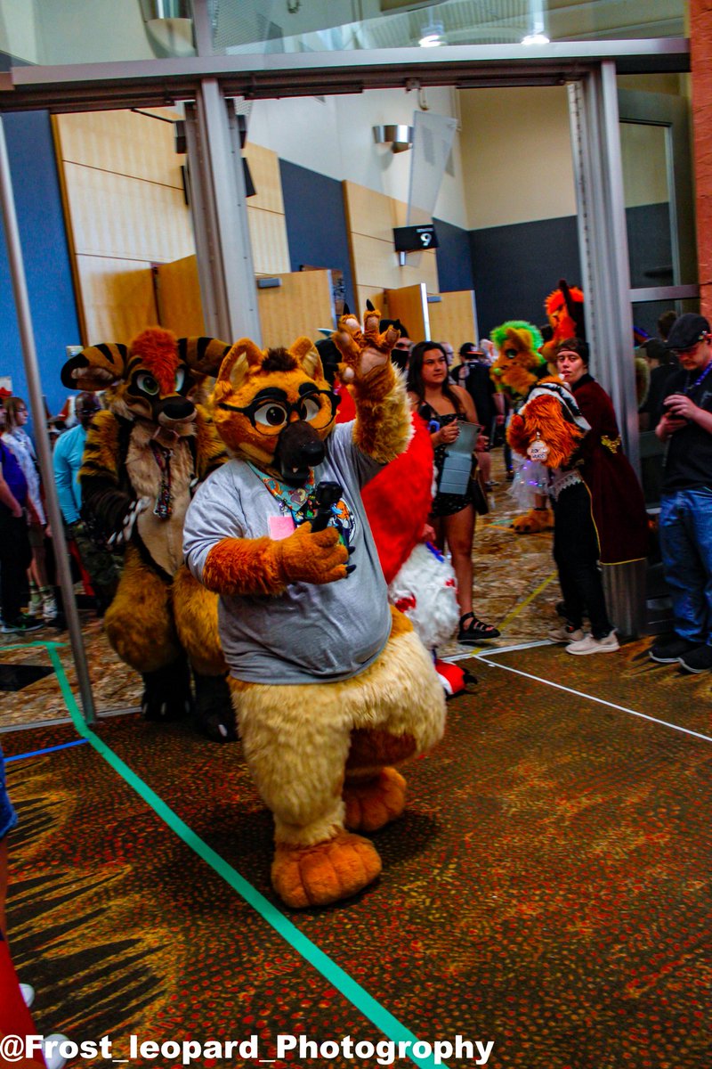 MysticCharizard's tweet photo. Today is the 8 Year anniversary I received my first commissioned suit! It was always a dream for me to have a "wolf costume" and relentlessly bothered my parents for years till it suddenly appeared at my doorstep! Best decision I have ever made 10/10 would do again. https://t.co/lazggREhhf