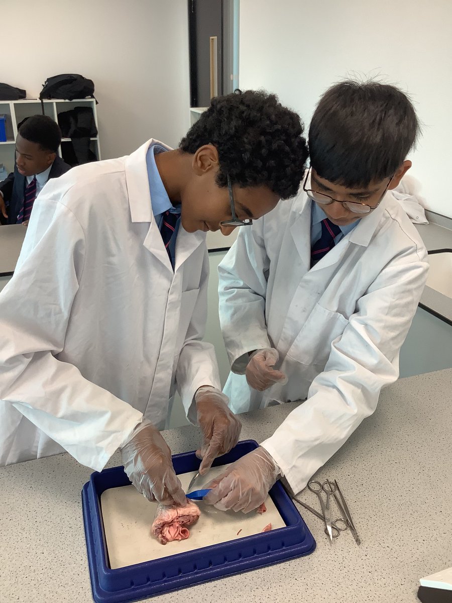 CORECityAcademy's tweet photo. Year 10 got first-hand experience of the workings of the animal heart, carrying out a heart dissection in Mr Nazar's Science lesson this afternoon, supported by Mr Browne and a guest appearance from Mr Bibb! @COREeducate #COREOpportunity https://t.co/m0ZxwzbxP4
