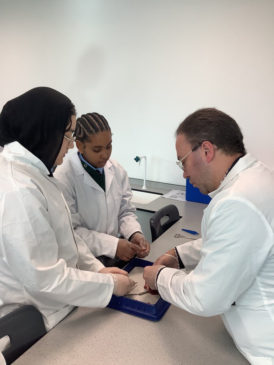 CORECityAcademy's tweet photo. Year 10 got first-hand experience of the workings of the animal heart, carrying out a heart dissection in Mr Nazar's Science lesson this afternoon, supported by Mr Browne and a guest appearance from Mr Bibb! @COREeducate #COREOpportunity https://t.co/m0ZxwzbxP4