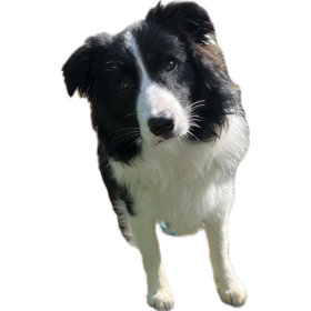 Mijn vinger of mijn leven