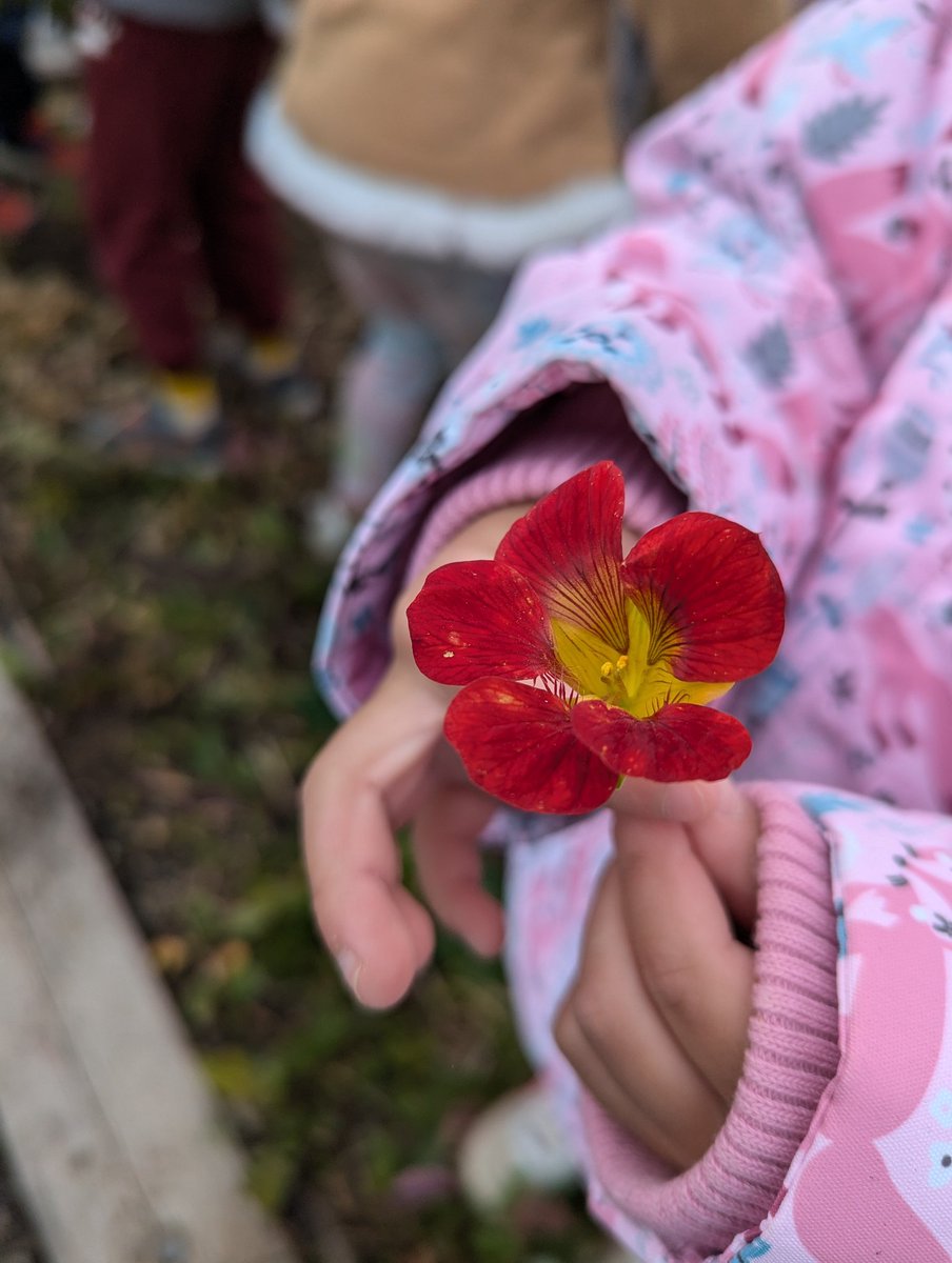 BEN Kinder 4 tweet media