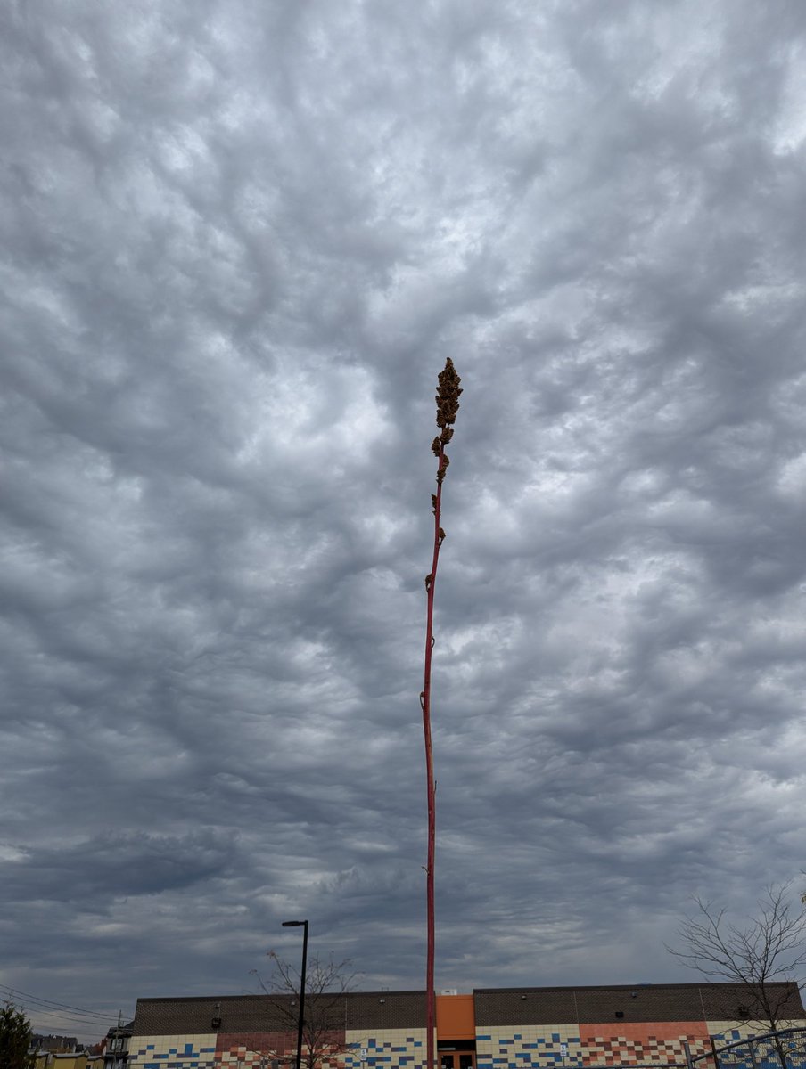 BEN Kinder 4 tweet media