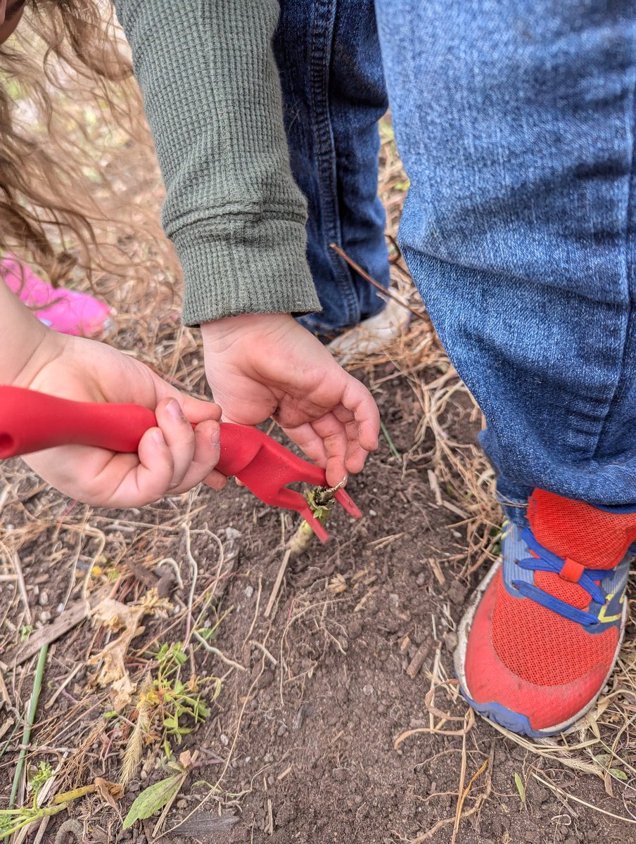 BEN Kinder 4 tweet media