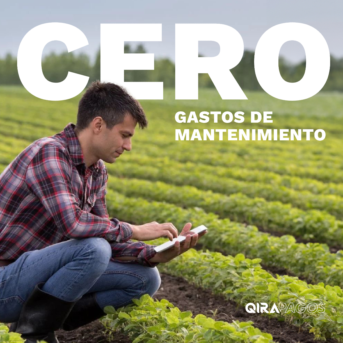 qirapagos's tweet photo. Con QIRA Pagos, no tenés gastos de mantenimiento. ⚡😉

#QiraPagos #BilleteraVirtual https://t.co/6QTwzab5pl