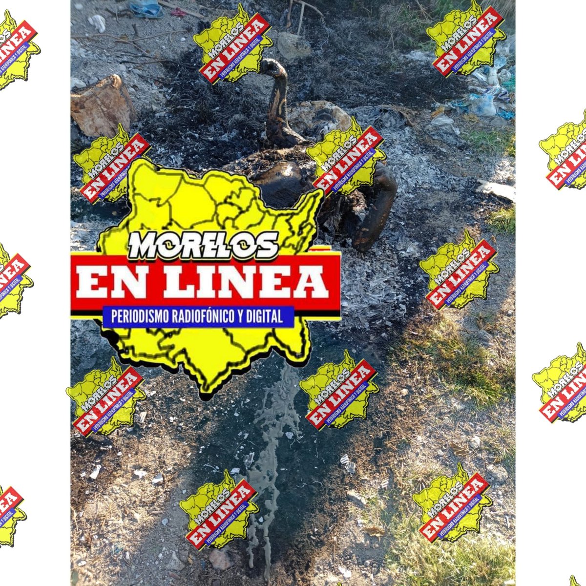 _MorelosEnLinea's tweet photo. #Morelos #Ayala|| CALCINADO UN CUERPO QUE FUE HALLADO EN EL PANTEÓN MUNICIPAL DE LA COLONIA ABELARDO L. RODRÍGUEZ EN EL MUNICIPIO DE AYALA
Hasta el momento permanece en calidad de desconocido el masculino,al lugar arribaron elementos de la fiscalía para el levantamiento del mismo https://t.co/S2ksazkUpd