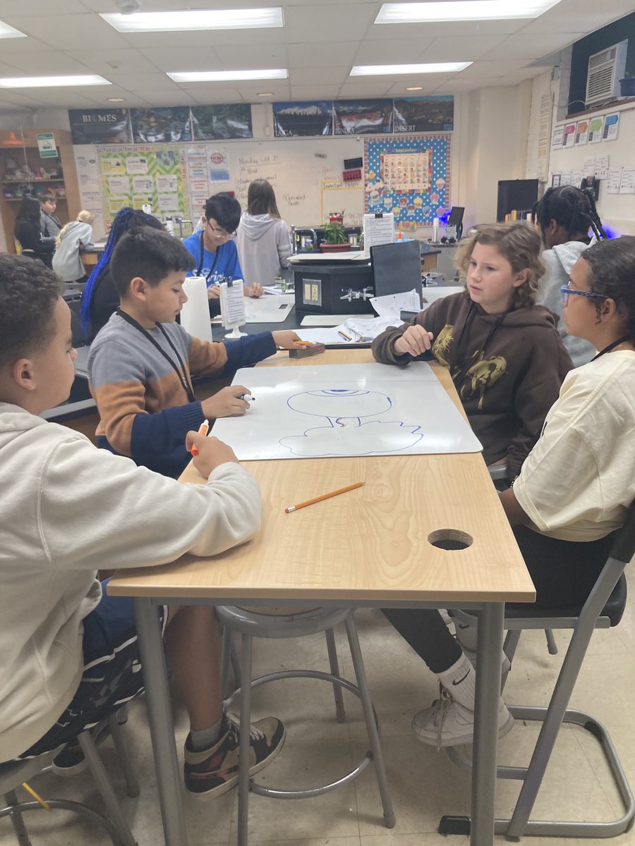 Light enters the eye and then…
#BeEvergreen