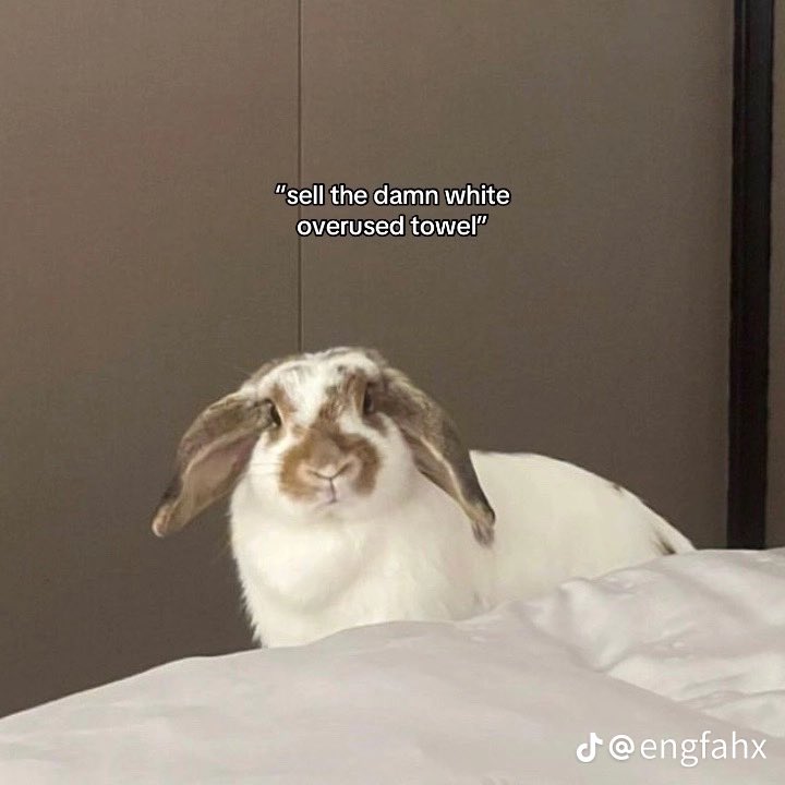 4everynextlife's tweet image. TT user @engfahx has DONE IT AGAIN

#englot #triggerwarning #PhaloAggression #TofuAbuse