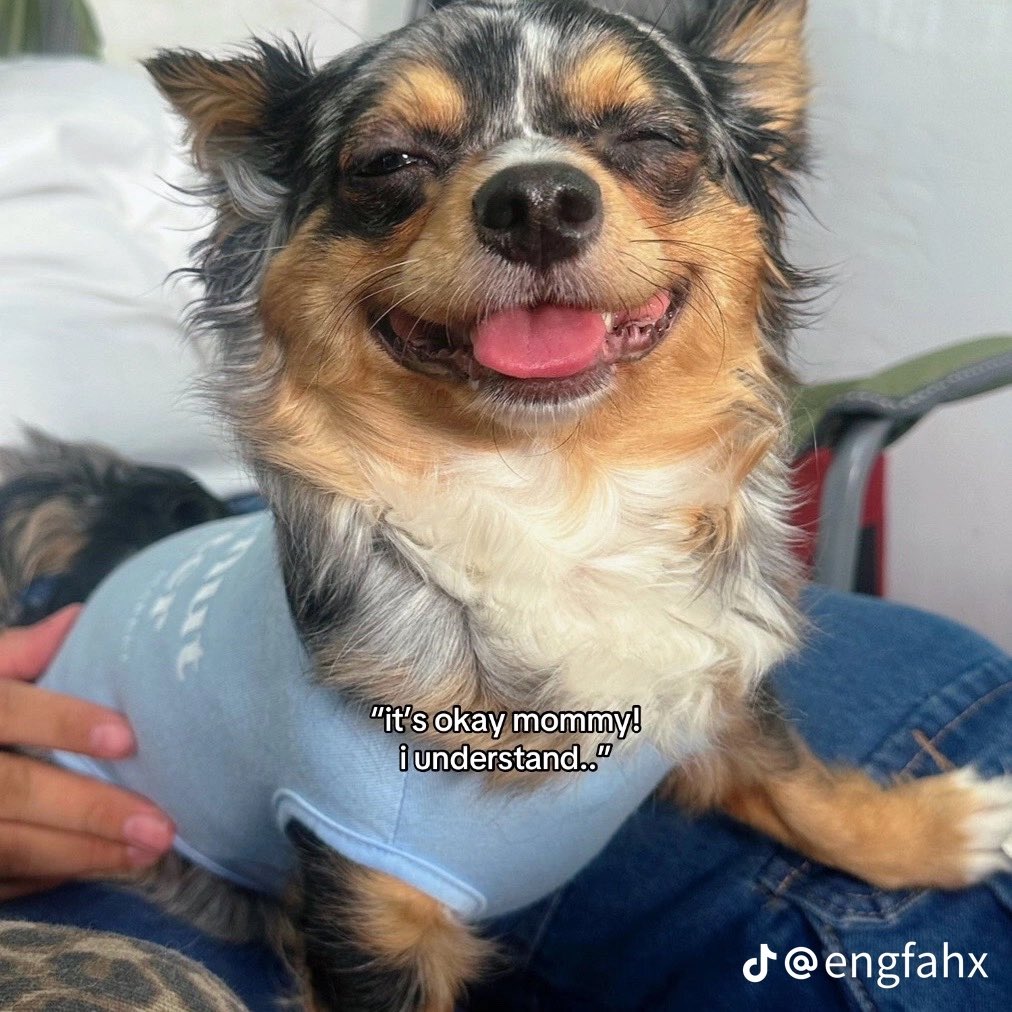 4everynextlife's tweet image. TT user @engfahx has DONE IT AGAIN

#englot #triggerwarning #PhaloAggression #TofuAbuse