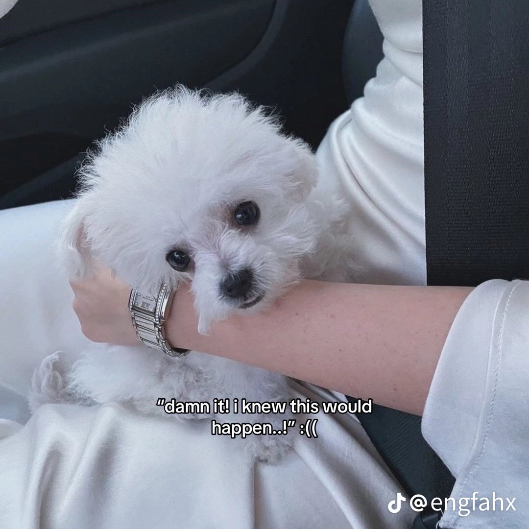 4everynextlife's tweet image. TT user @engfahx has DONE IT AGAIN

#englot #triggerwarning #PhaloAggression #TofuAbuse